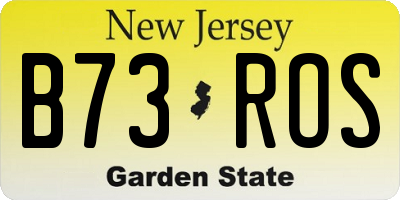 NJ license plate B73ROS