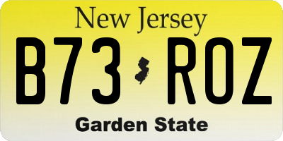 NJ license plate B73ROZ