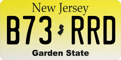 NJ license plate B73RRD