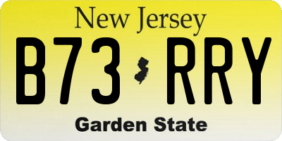 NJ license plate B73RRY