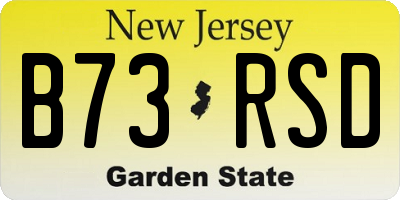 NJ license plate B73RSD