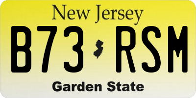 NJ license plate B73RSM