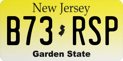 NJ license plate B73RSP