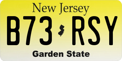 NJ license plate B73RSY