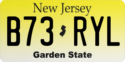 NJ license plate B73RYL