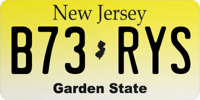 NJ license plate B73RYS