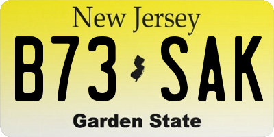 NJ license plate B73SAK