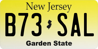 NJ license plate B73SAL
