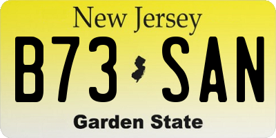 NJ license plate B73SAN