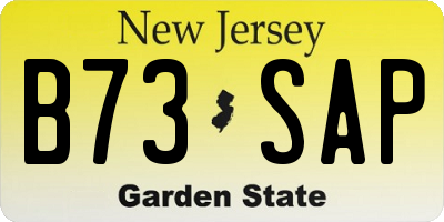 NJ license plate B73SAP