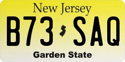 NJ license plate B73SAQ