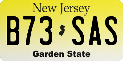 NJ license plate B73SAS