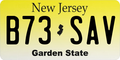 NJ license plate B73SAV