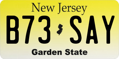 NJ license plate B73SAY