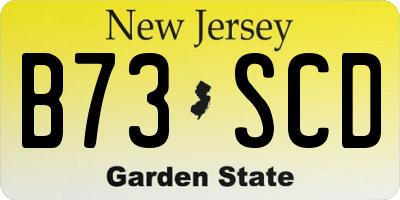 NJ license plate B73SCD