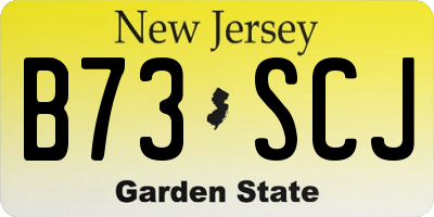 NJ license plate B73SCJ