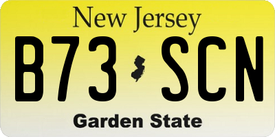 NJ license plate B73SCN