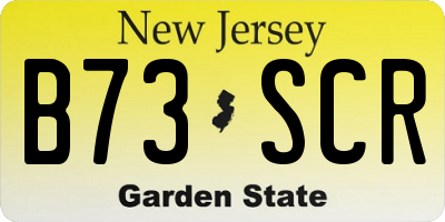NJ license plate B73SCR