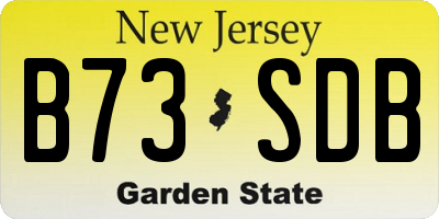 NJ license plate B73SDB