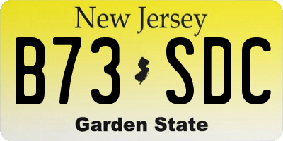 NJ license plate B73SDC