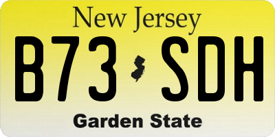 NJ license plate B73SDH
