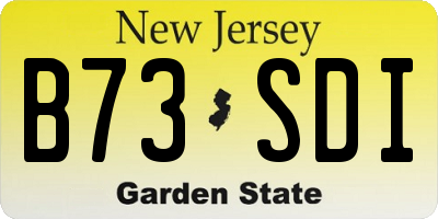 NJ license plate B73SDI