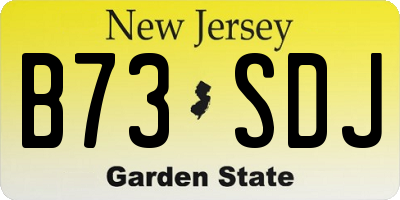 NJ license plate B73SDJ
