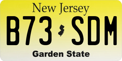 NJ license plate B73SDM