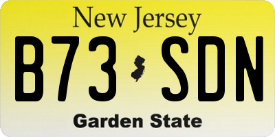 NJ license plate B73SDN
