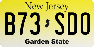 NJ license plate B73SDO