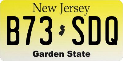 NJ license plate B73SDQ