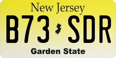 NJ license plate B73SDR
