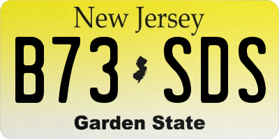 NJ license plate B73SDS