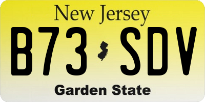 NJ license plate B73SDV