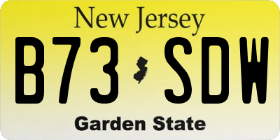NJ license plate B73SDW