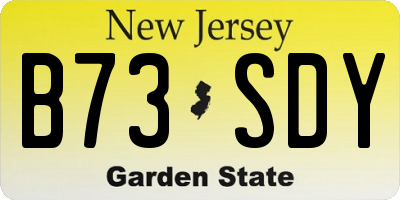 NJ license plate B73SDY