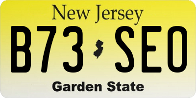 NJ license plate B73SEO