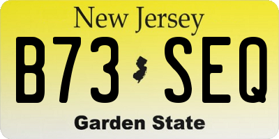 NJ license plate B73SEQ