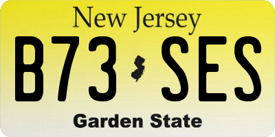 NJ license plate B73SES