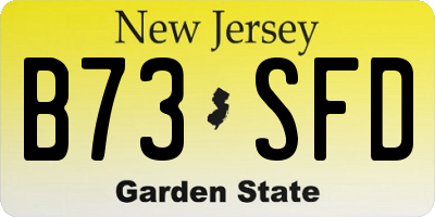 NJ license plate B73SFD