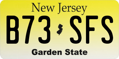 NJ license plate B73SFS