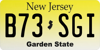 NJ license plate B73SGI