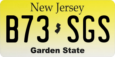 NJ license plate B73SGS