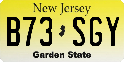NJ license plate B73SGY