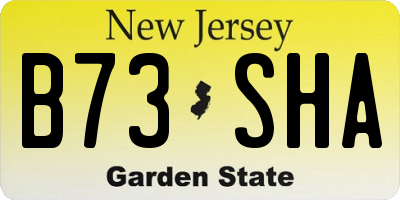 NJ license plate B73SHA