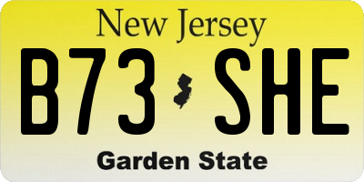 NJ license plate B73SHE