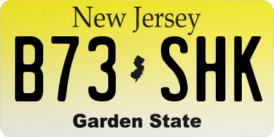 NJ license plate B73SHK