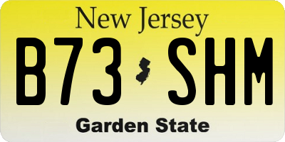 NJ license plate B73SHM