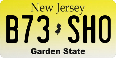NJ license plate B73SHO