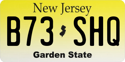 NJ license plate B73SHQ